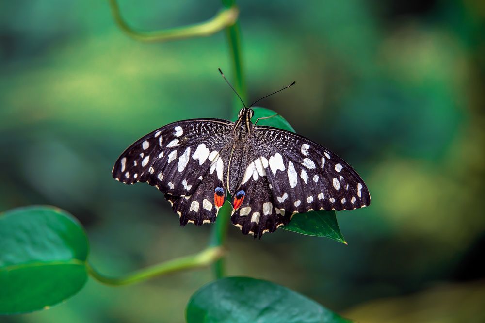 Фотография автора Сергей Газизов