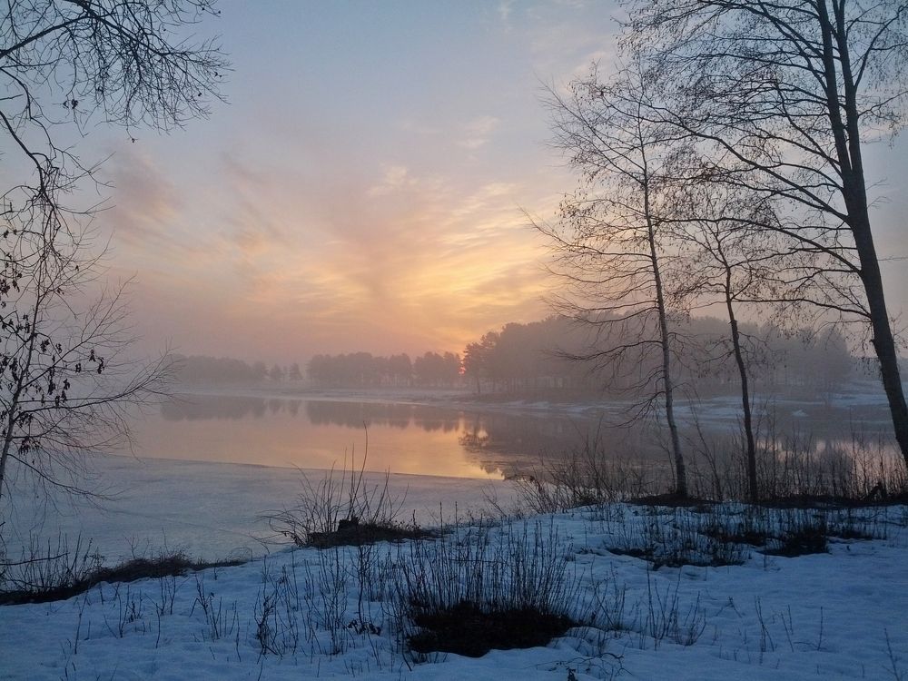 Photo #9327204