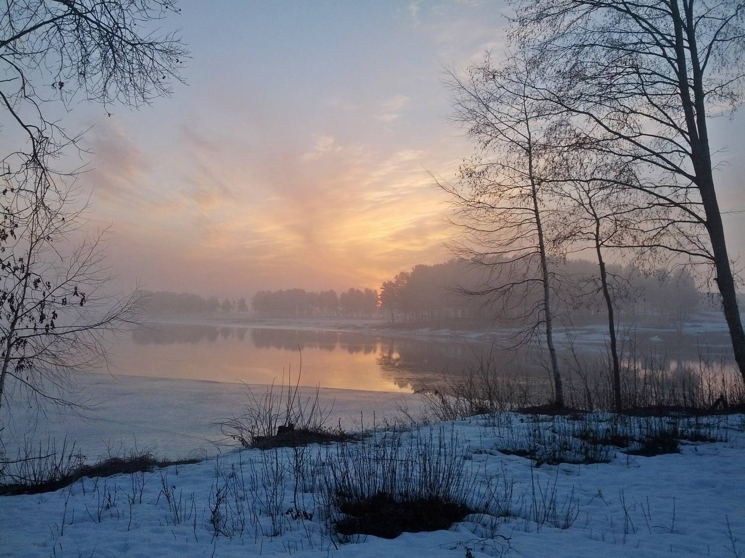 Photo #9327204