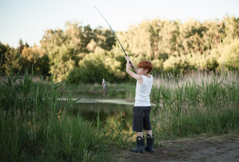 Photograph by Наталья Сметанина