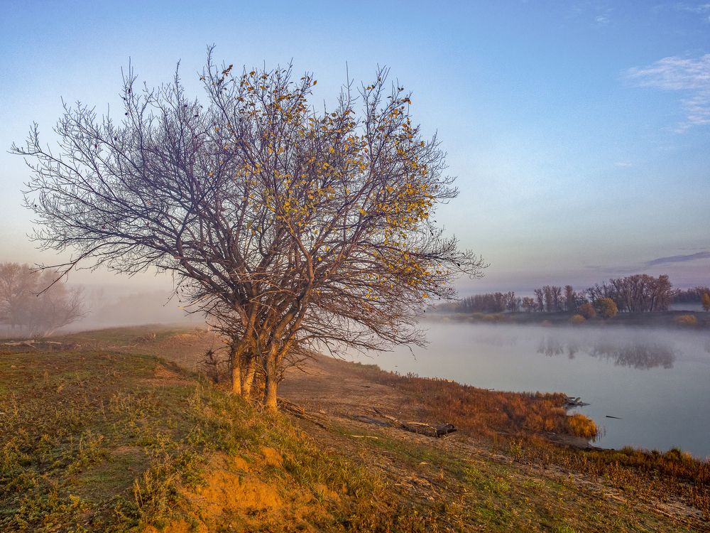 Photograph by Denis Polushin