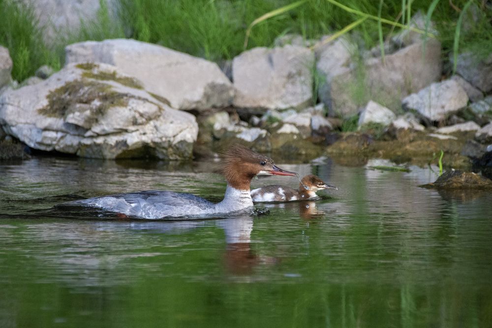 Photograph by Екатерина Якель