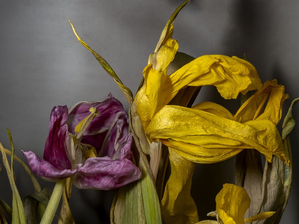 Photograph by Denis Polushin