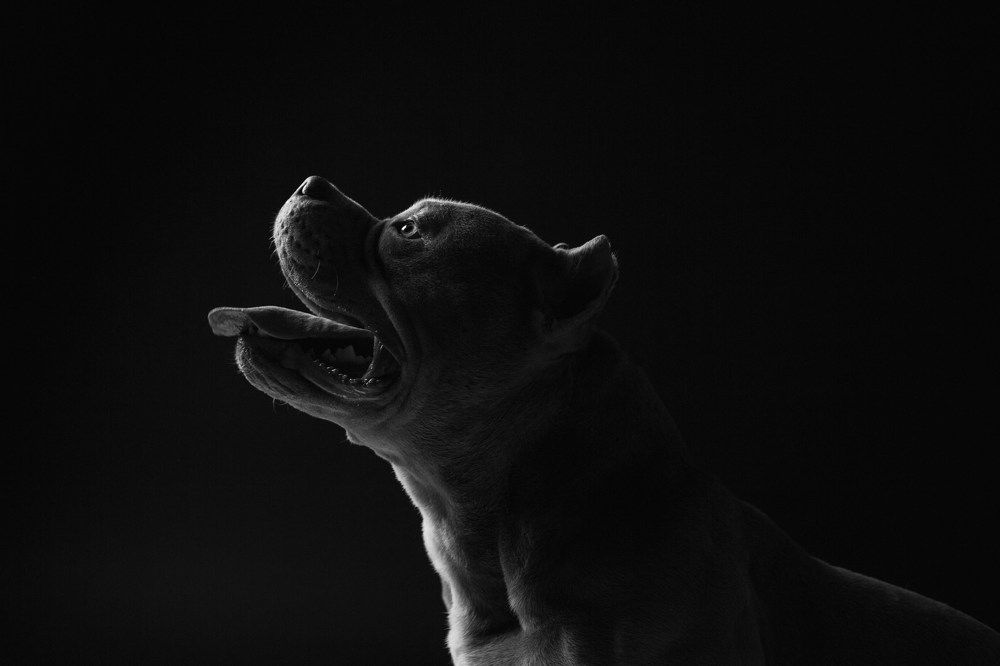 Photograph by Виктория Клименко