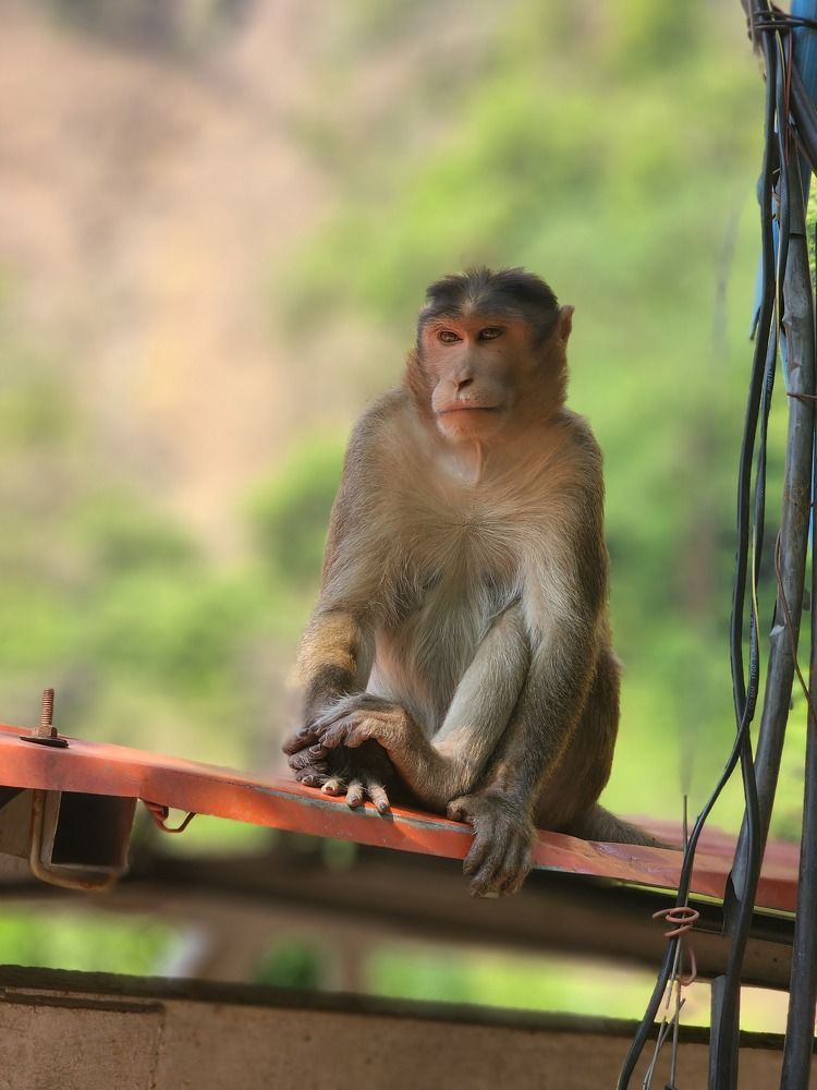 Photograph by Vikrant Khadekar