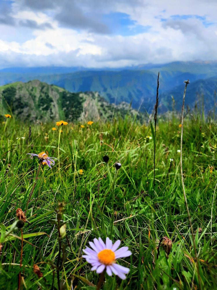 Photograph by Дмитрий Черкашин