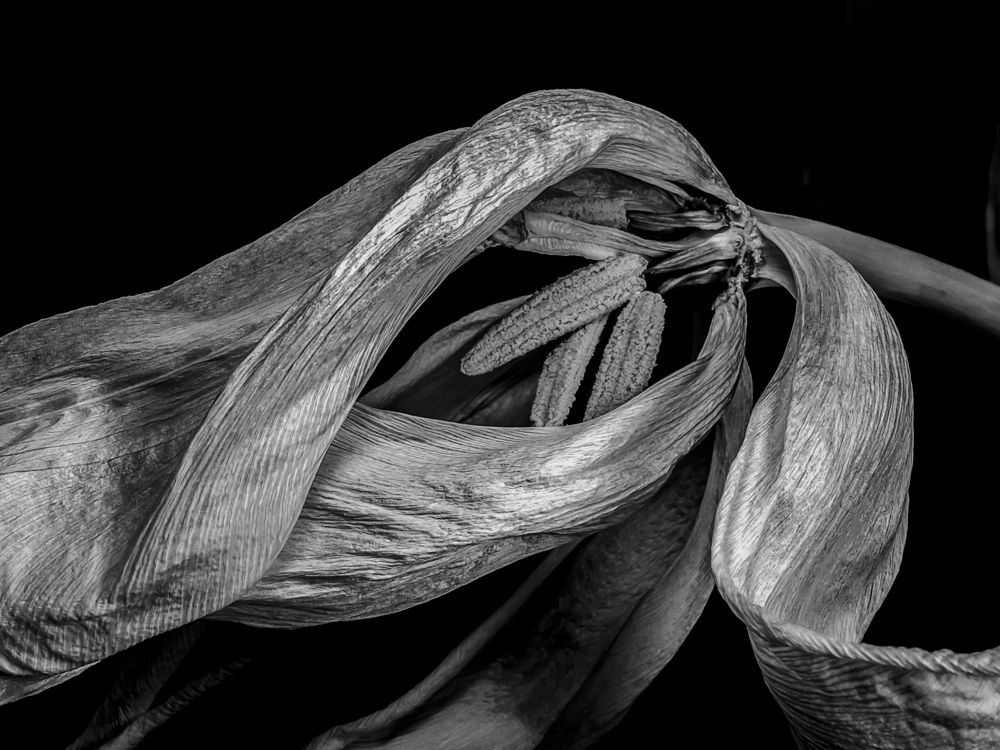 Photograph by Denis Polushin