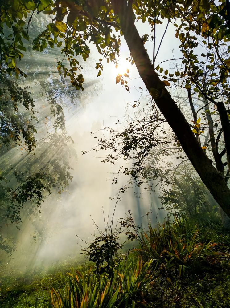 Photograph by Uladzimir Hvozd