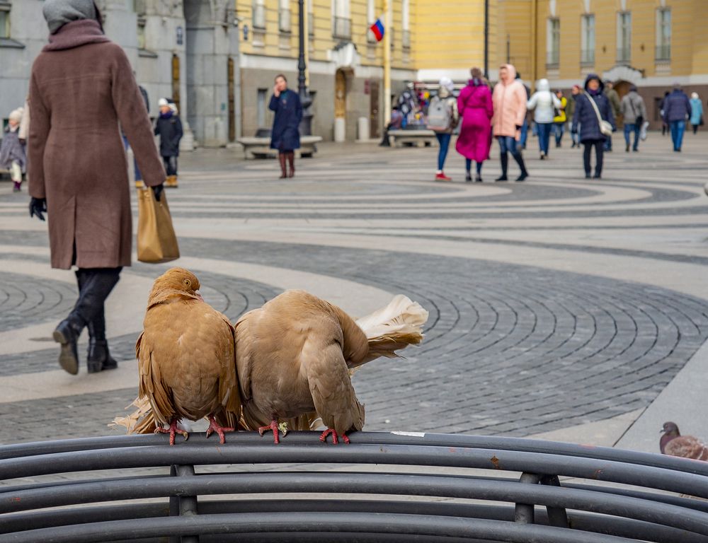 Photograph by Denis Polushin