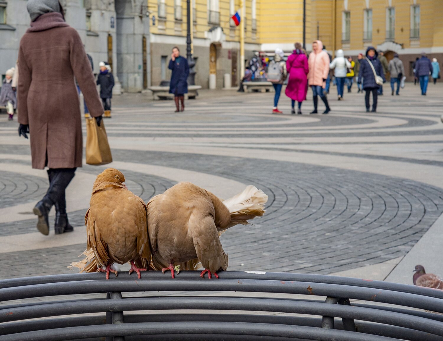 Photo #9327313