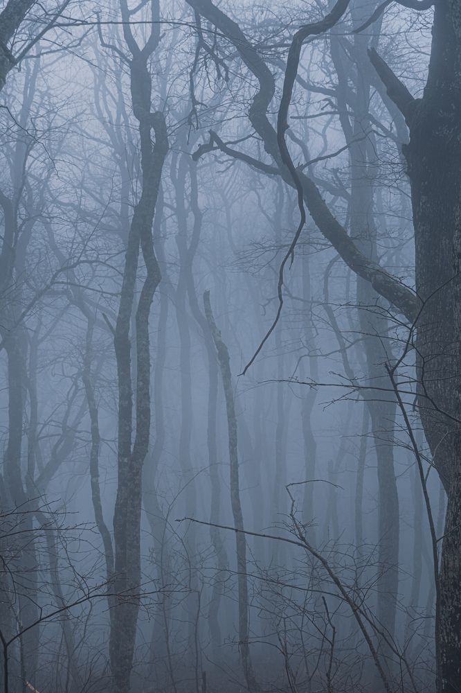 Photograph by Кривцов Андрей