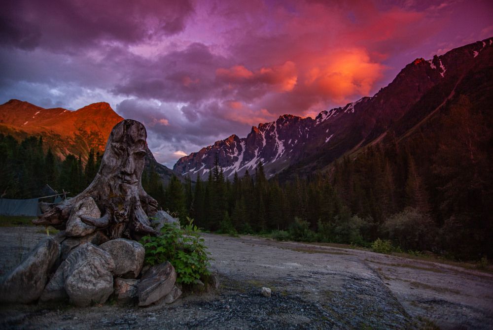 Photograph by Ксения Никифорова