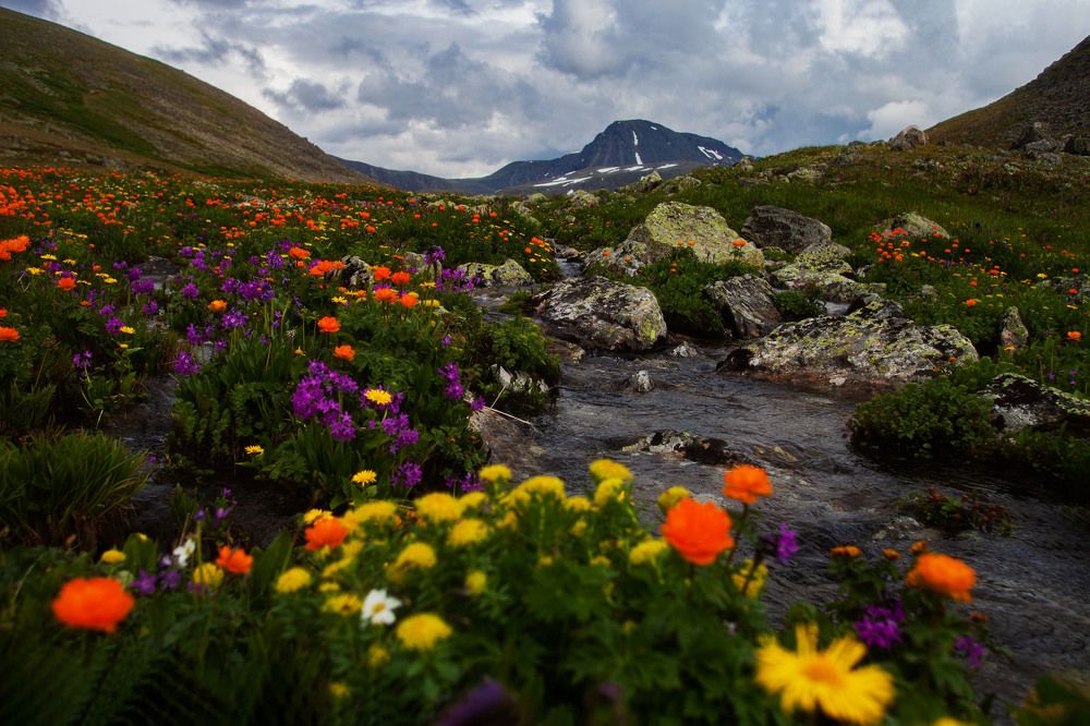 Photograph by Ксения Никифорова