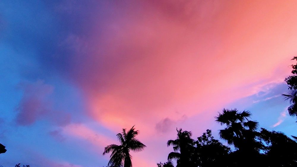 Photo #9327343