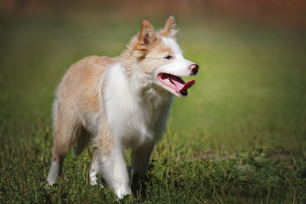 Photograph by Андрей Соколов