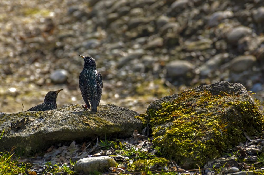 Photograph by Anton Leonchikov