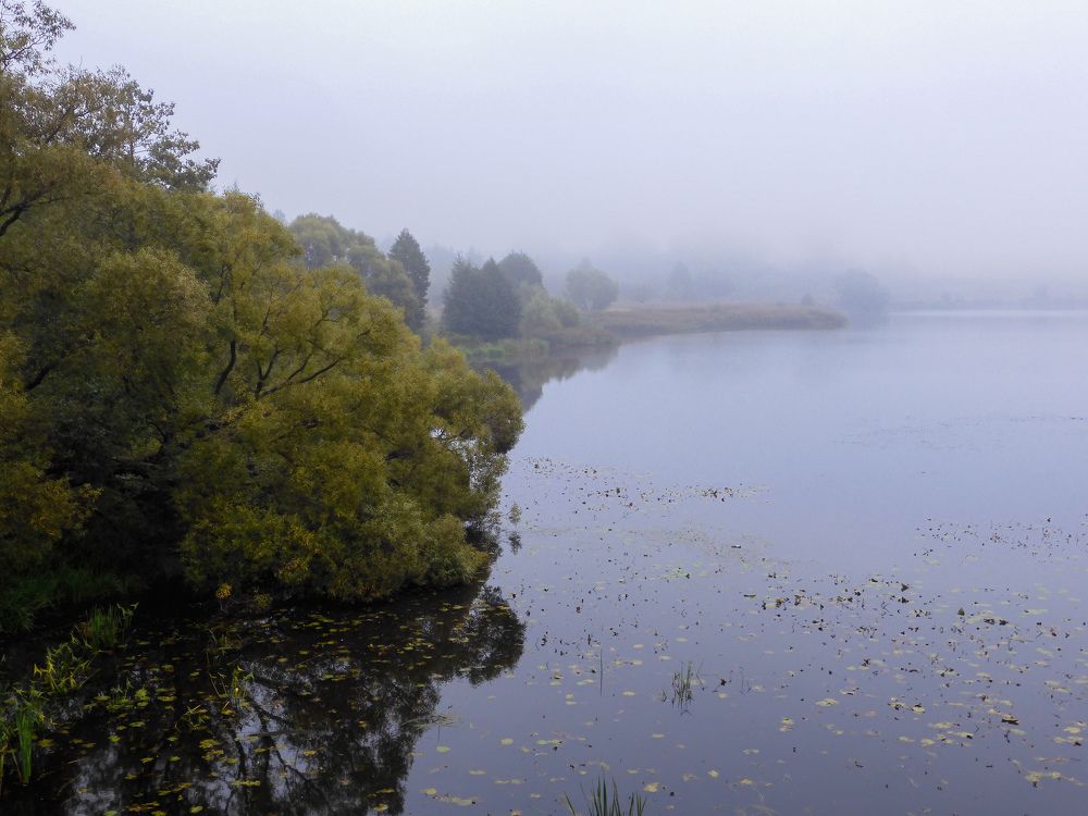 Photograph by Игорь Смирнов