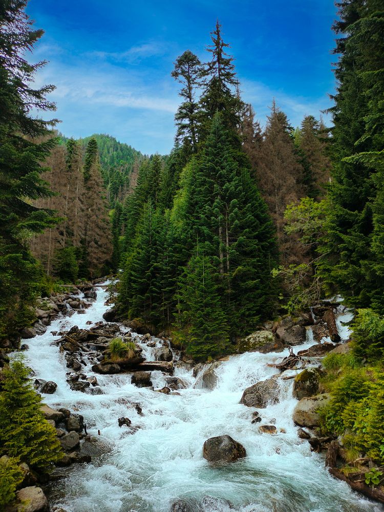 Photograph by Вадим Карпов