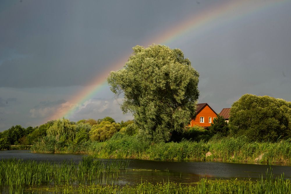 Photograph by Александр Дергаусов