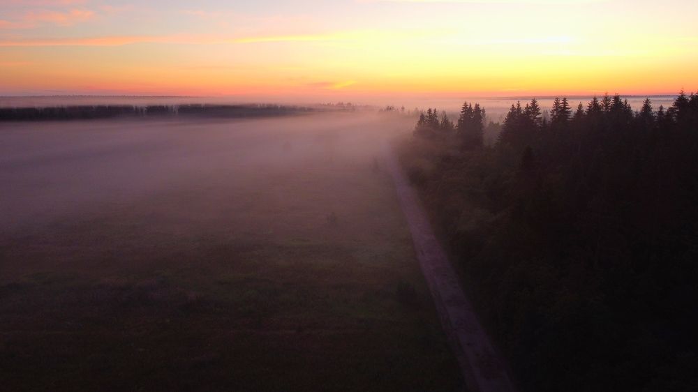 Photograph by Ольга Колчанова