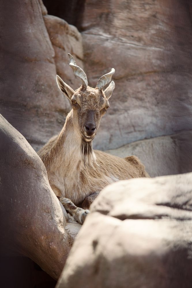 Photograph by Елена Ковалева