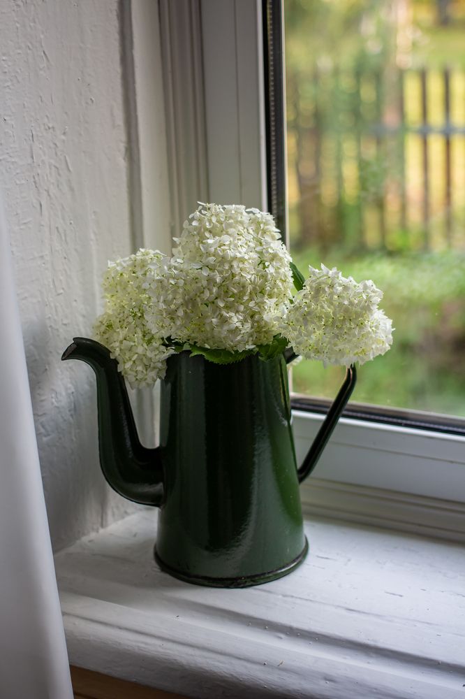 Фотография автора Евгения Снигирева