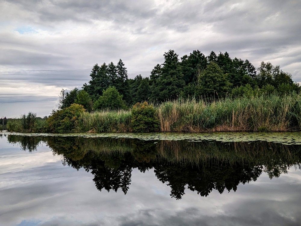 Фотография автора Ольга Костенко