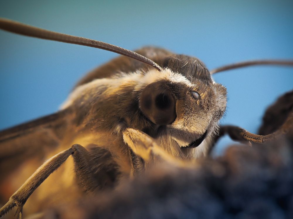 Photograph by Юрий Говорков