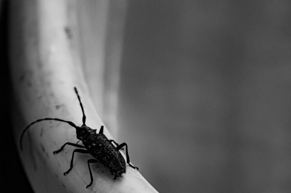 Фотография автора Евгения Снигирева