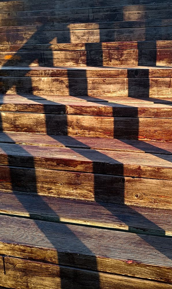 Фотография автора Мария Черница