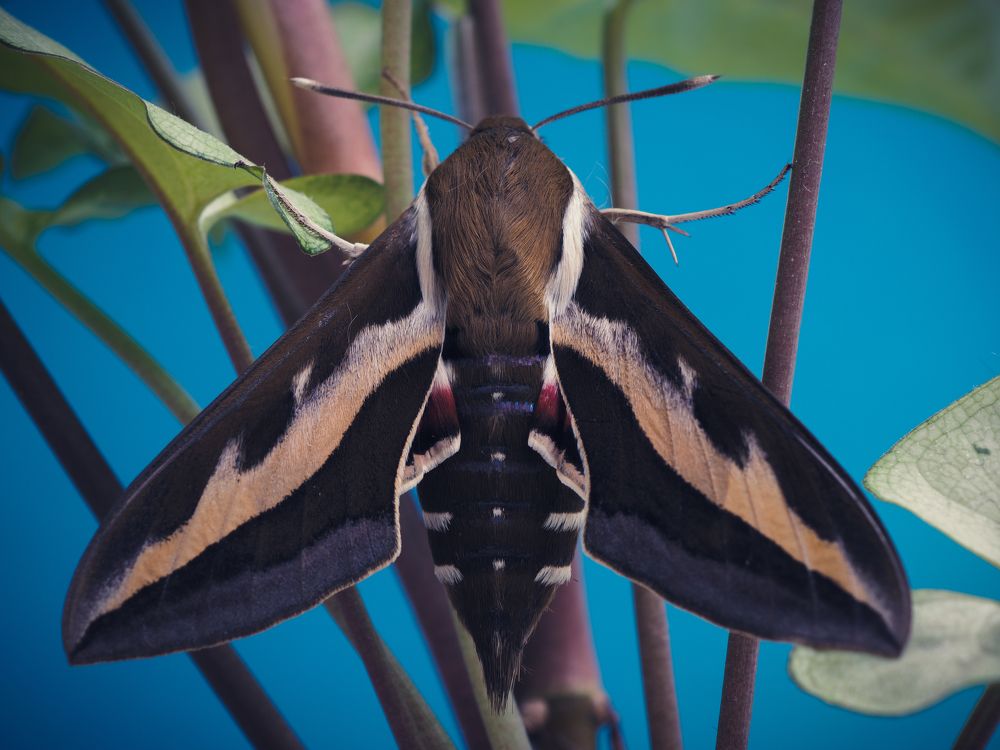 Photograph by Юрий Говорков