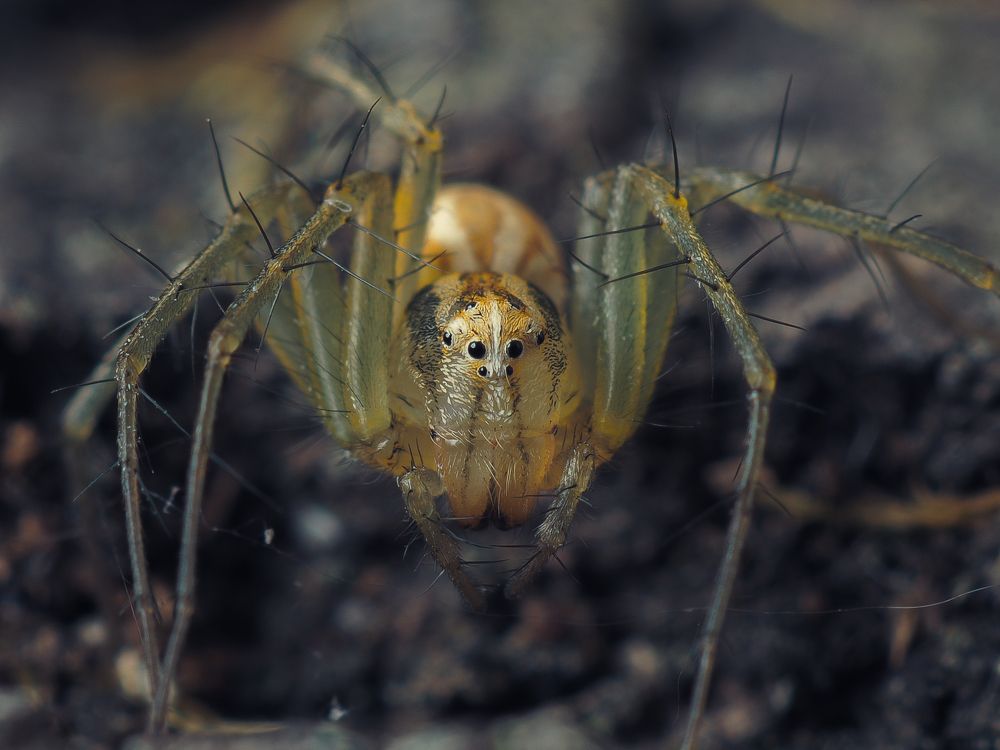 Photograph by Юрий Говорков