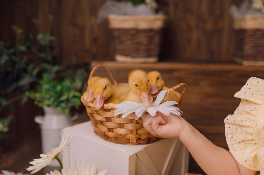 Photograph by Елена Воронина