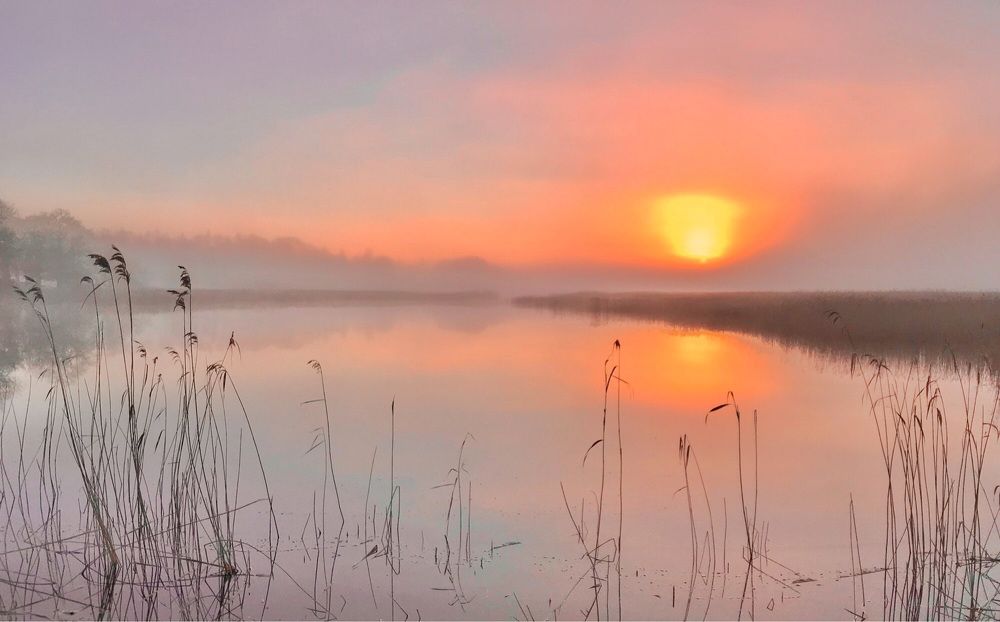 Photograph by Janina Segeda