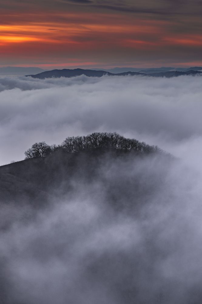 Photograph by Кривцов Андрей