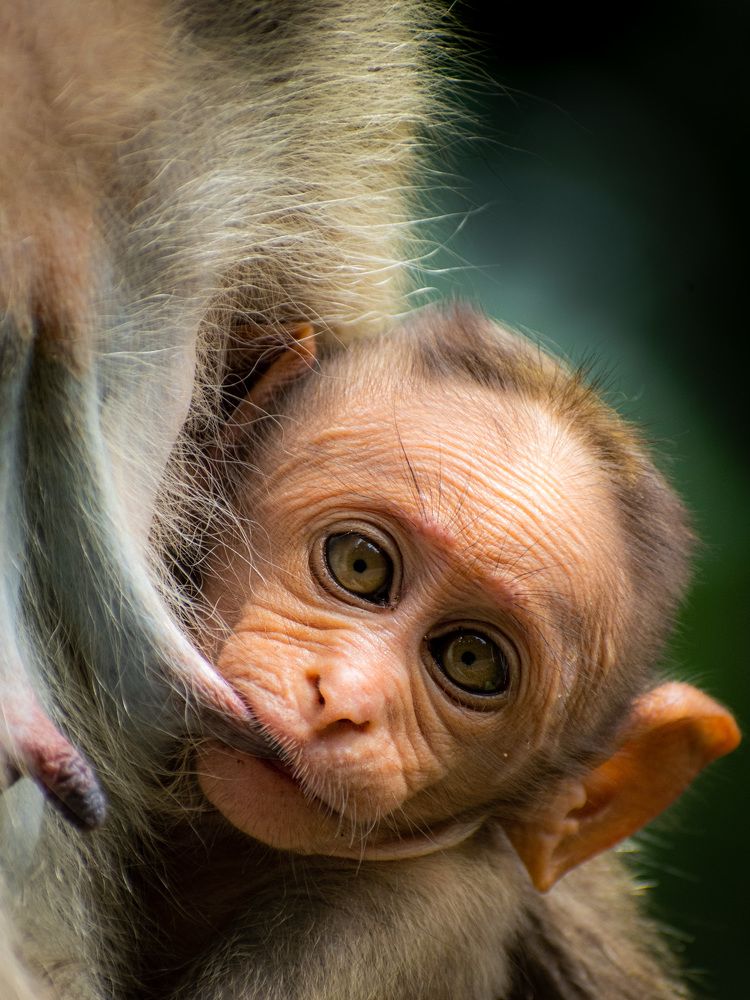 Photograph by Nath Sai