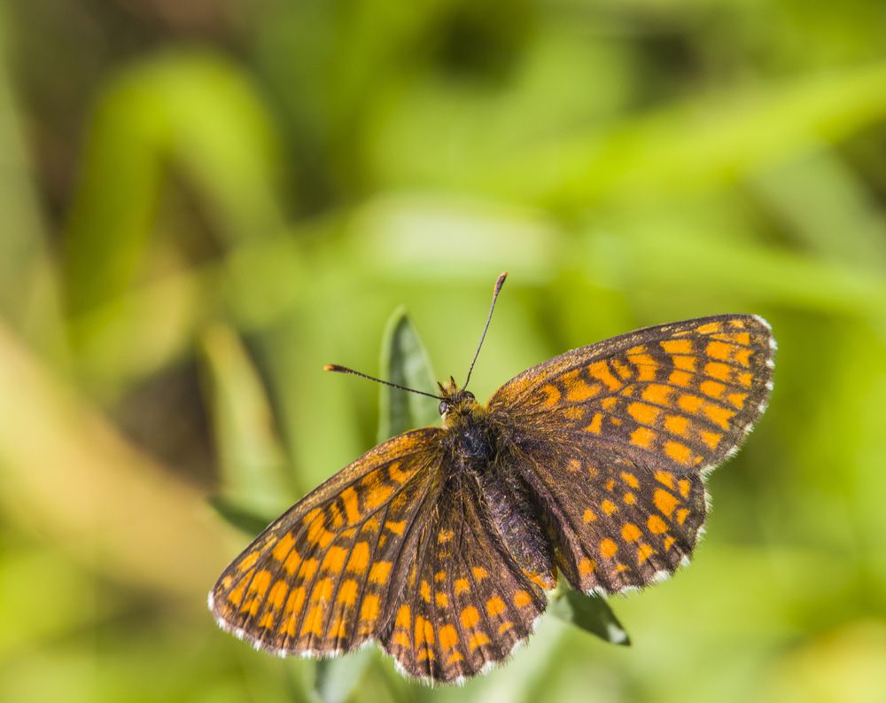 Photograph by Sergey Paramonov