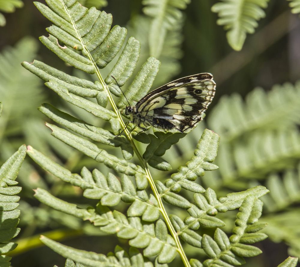 Photograph by Sergey Paramonov