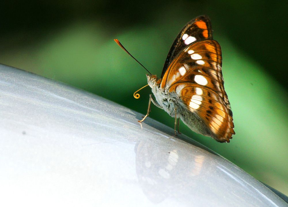 Photograph by Partha Chakraborty