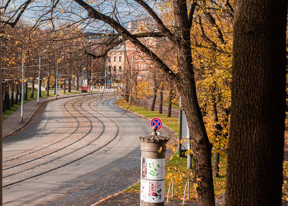 Фотография автора Aлексей Игнатьев
