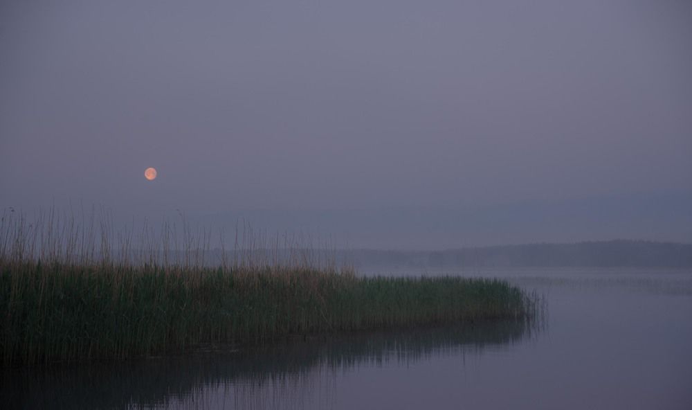 Фотография автора Aлексей Игнатьев