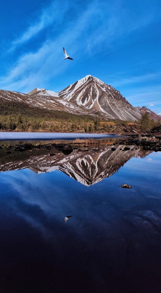 Photograph by Галина