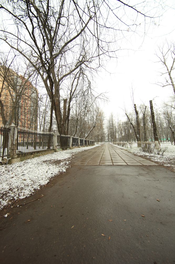 Photograph by Владимир Ясюкевич