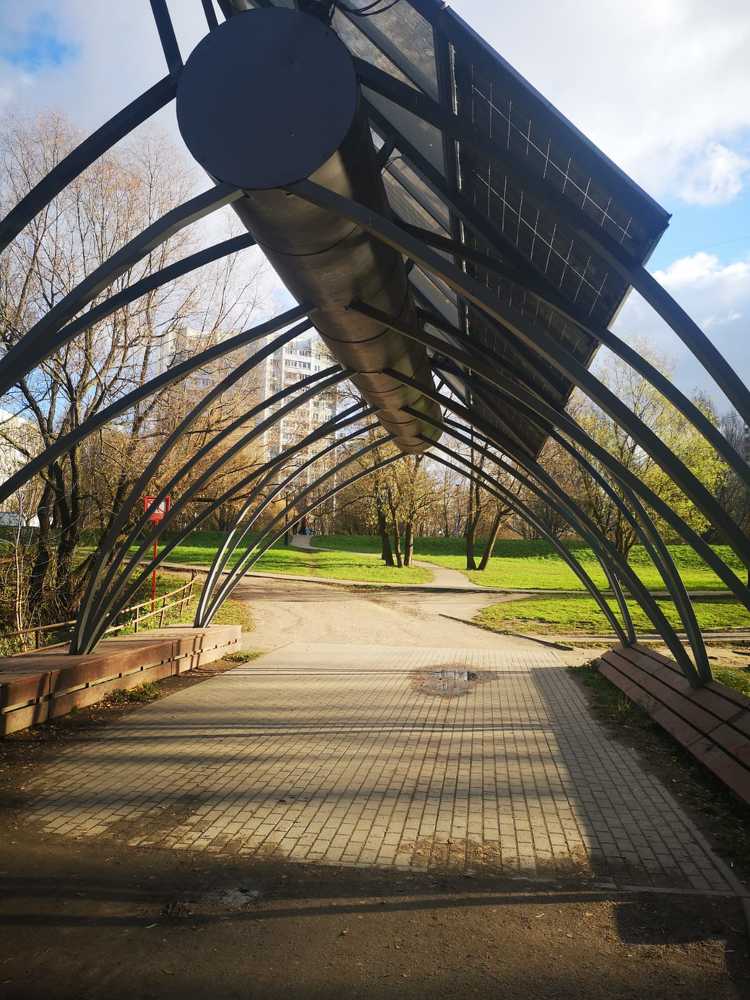 Photograph by Родионова Анастасия