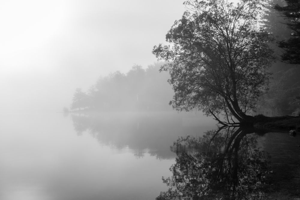 Early morning at Bohinj lake. Slovenia.