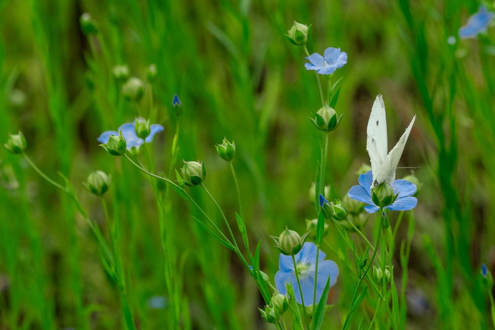 Фотография автора Валерий Бычков