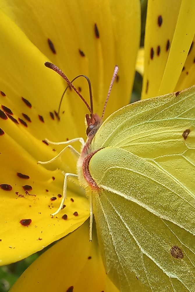 Photograph by Евгений Савулькин