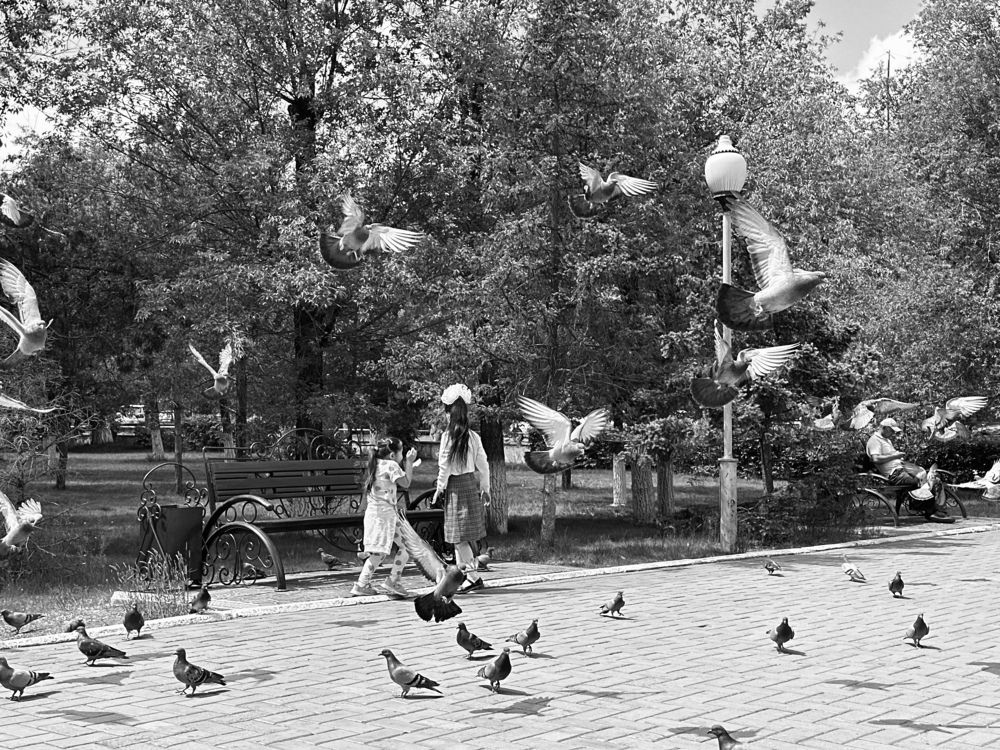Photograph by Дана Жулдызбек