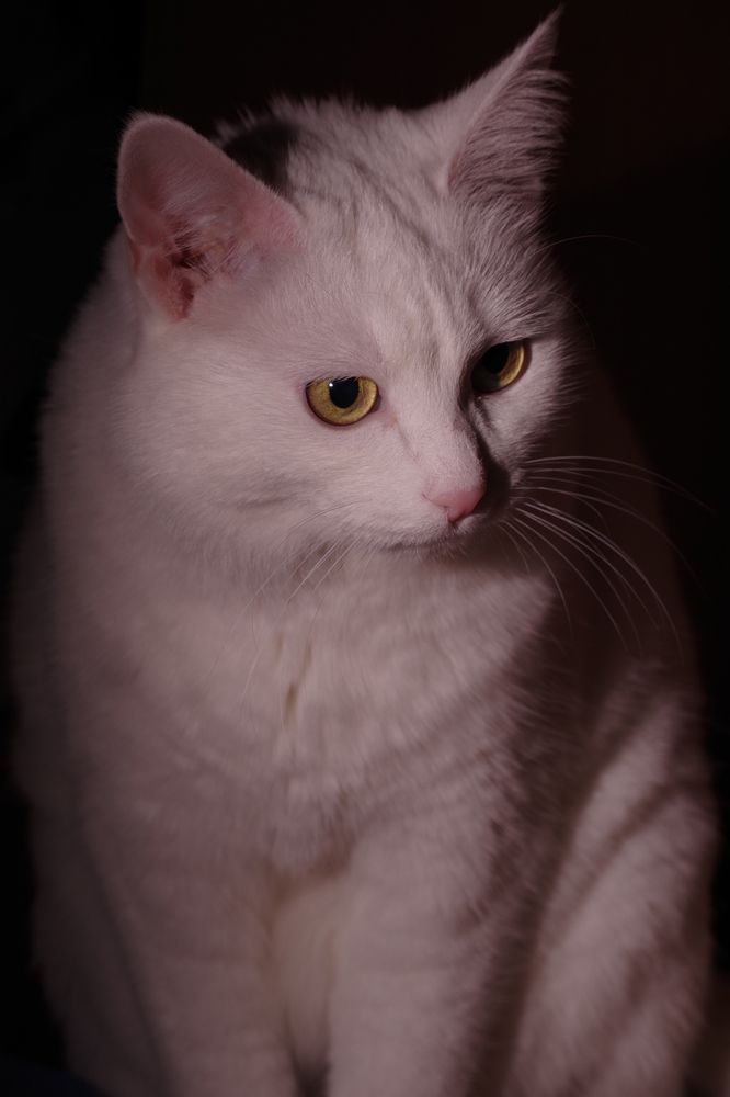 Photograph by Екатерина Бурикова