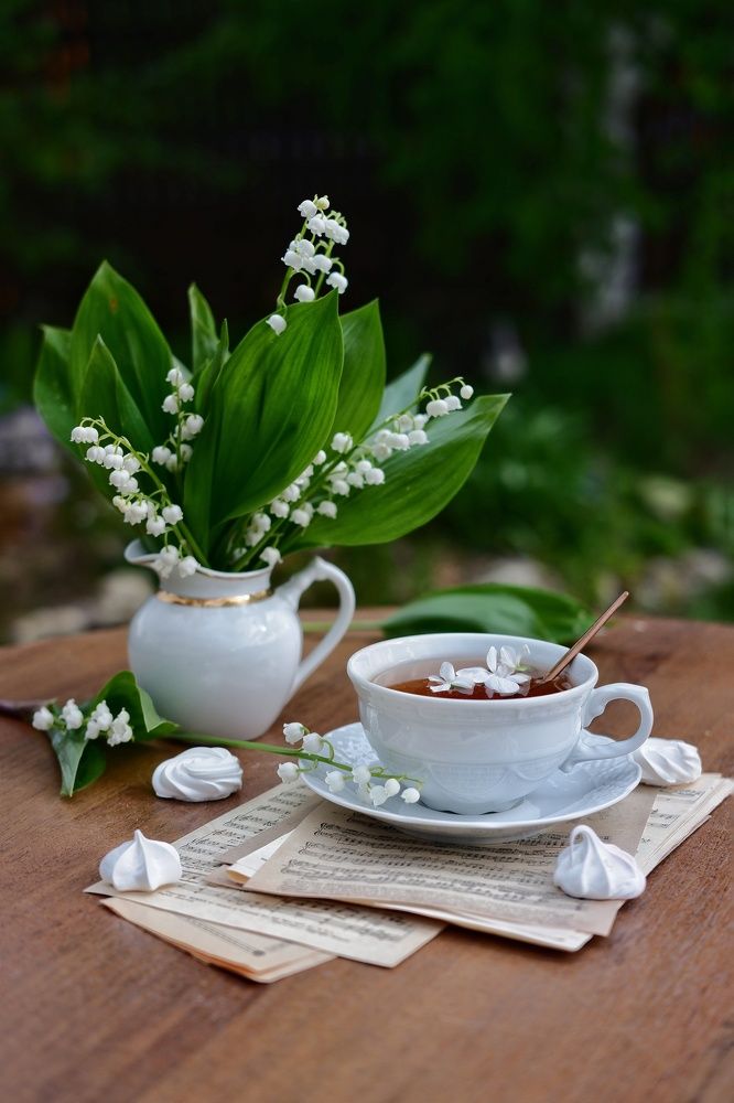 Фотография автора Екатерина Карасева